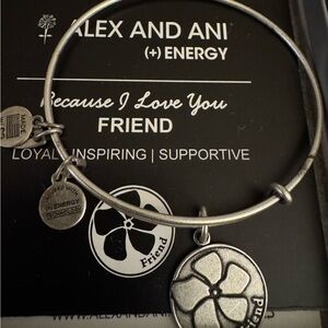 Alex and Ani Silver Friendship Bracelet